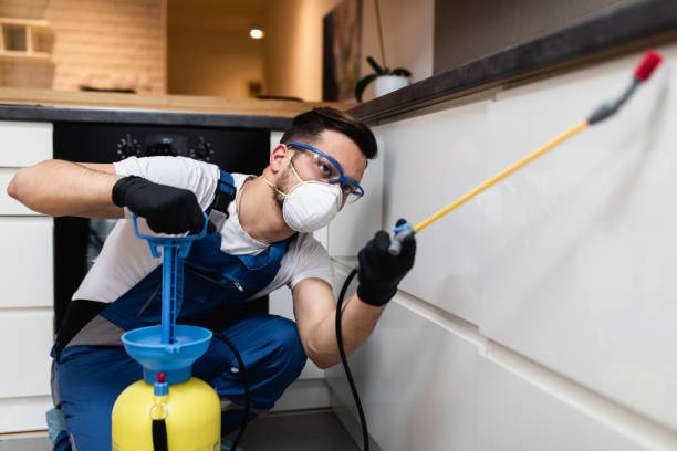 Best Affordable Pest Control Services  in Beaver Falls, PA
