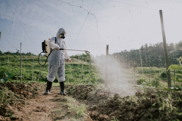 Best Ant Control Services  in Beaver Falls, PA