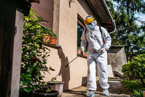 Best Bed Bug Extermination  in Beaver Falls, PA