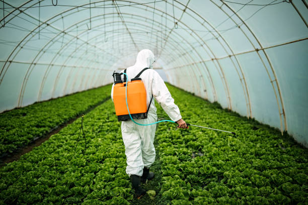 Best Pest Removal Services  in Beaver Falls, PA