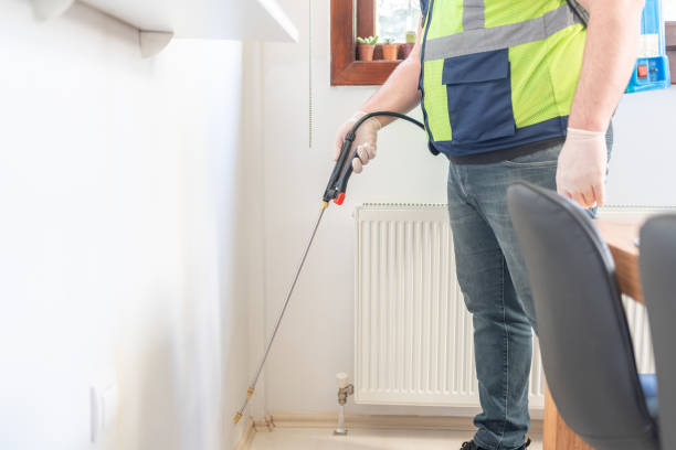 Pest Prevention Services in Beaver Falls, PA